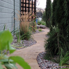 Backyard Inspiration