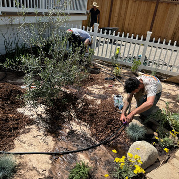Cottage-Style Garden