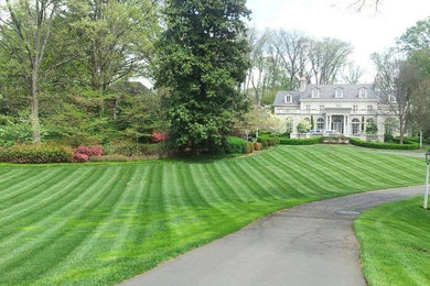 This is an example of a traditional full sun front yard garden path in Charlotte.