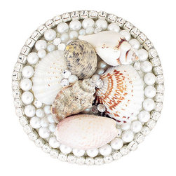 Sea Shell Drain - Linkasink - Bathroom Sink And Faucet Parts