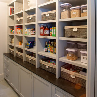 Large traditional kitchen pantry remodeling - Kitchen pantry - large traditional single-wall kitchen pantry idea in Houston with recessed-panel cabinets and no island