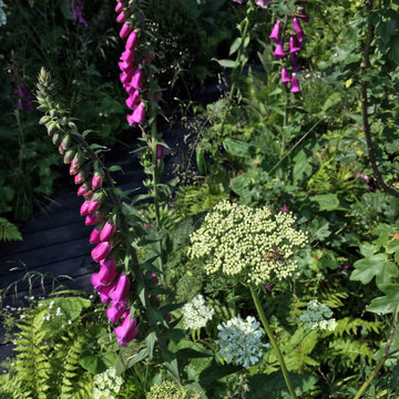 Exhibition / Bloom by Bord Bia 2016