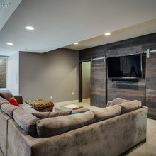 Basement Living Room