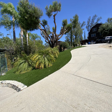 Artificial Turf and Concrete Walkway