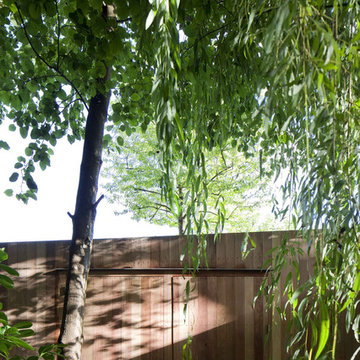 New Gym and Garage in Highgate