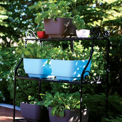 Fertile Earth Simple Garden Starter Kit in Blue - Outdoor Pots And Planters