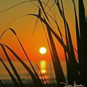 Foto von Pam Turley