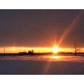 Vicky Timbers's photo