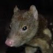 Cameron Ross's photo
