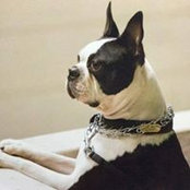 Janey Sloan's photo
