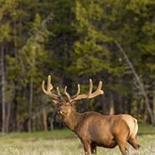 Jeff Roberts's photo