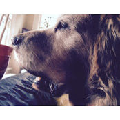 kim Weiss's photo