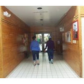 Diane Allen-Harkins's photo