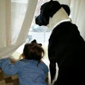 Amanda Yeamans Joseph's photo