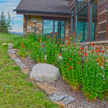 landscaoing