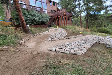 This is an example of a landscaping in Denver.