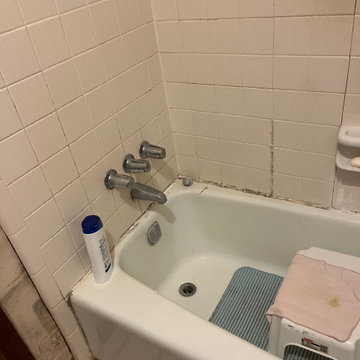 ADA  Shower build up- before picture