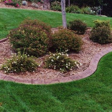 Curb Appeal 101: 5 Features That Will Transform Your Yard