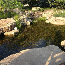 pond