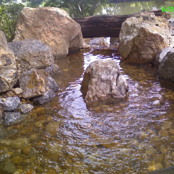 Ponds and Streams