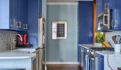 Kitchen Renovation: Are Coloured Cabinets Trending?