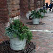 Planters