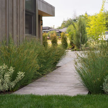 Landscaping ideas