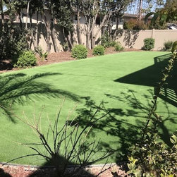 Backyard Paradise - Products