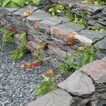 Landscape - Wall