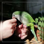 Islam AL-Deeb's photo
