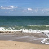 Meredith Walgren's photo