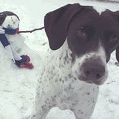 Barrett Randall's photo