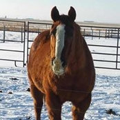 Michele Kathrein's photo