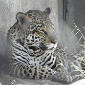 Tammy Wheeler's photo