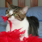 Bryan Macklin's photo