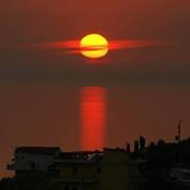 Elton Jongari's photo