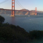 colgates foto