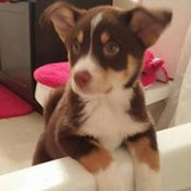 Deirdre Neufeld's photo
