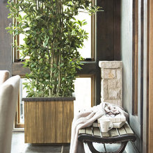 Plants