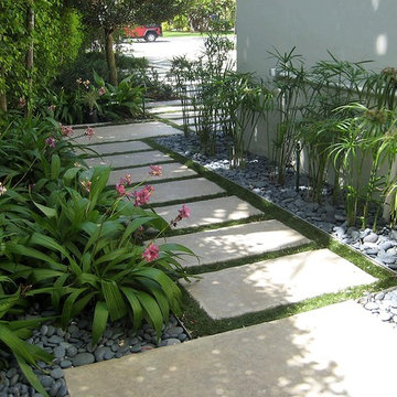 Tropical Modern