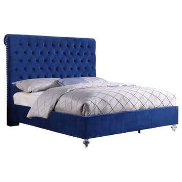 Queen Navy Blue Velvet Upholstered Panel Bed with Clear Acrylic Legs