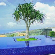contemporary pool