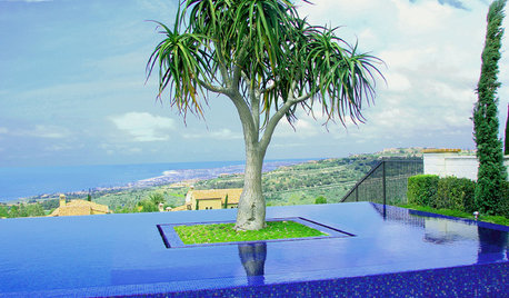 Comment intégrer un arbre à la conception des espaces extérieurs ?