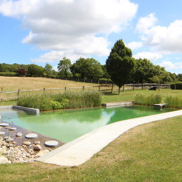 Rural natural swimming pool retreat