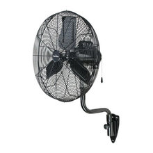 Fans
