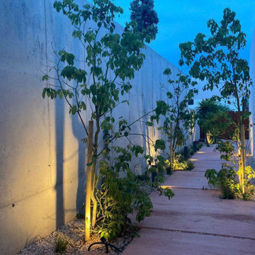 Casa Lizzy | Obra Nueva