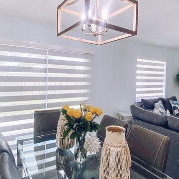 Zebra Blinds