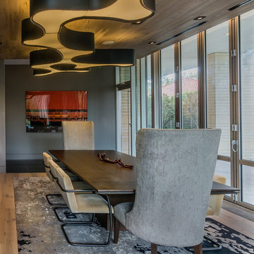AIA Home Tour (Fall 2017) / Museum District Highrise