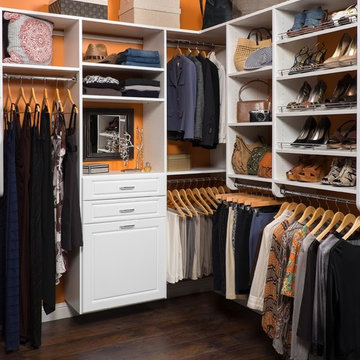 Closet Organizers Examples