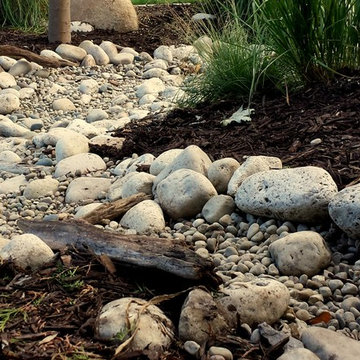 Water Wise Award Recipient